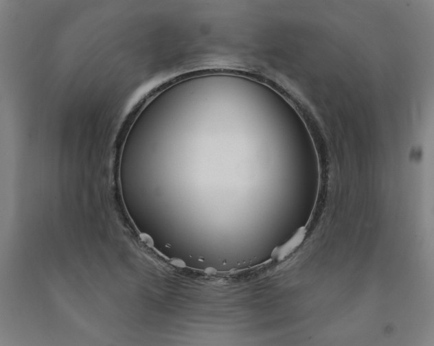 X0000091951222200709271319