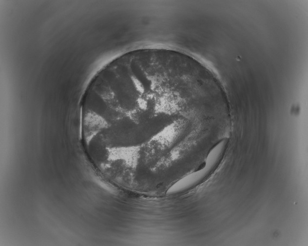 X0000091951223200709271319