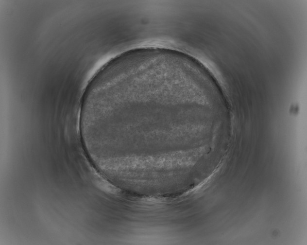 X0000091951224200709271319