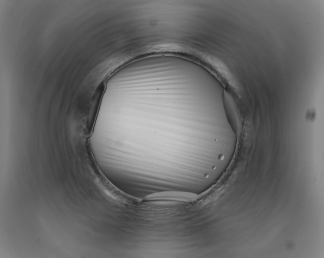 X0000091951225200709271319