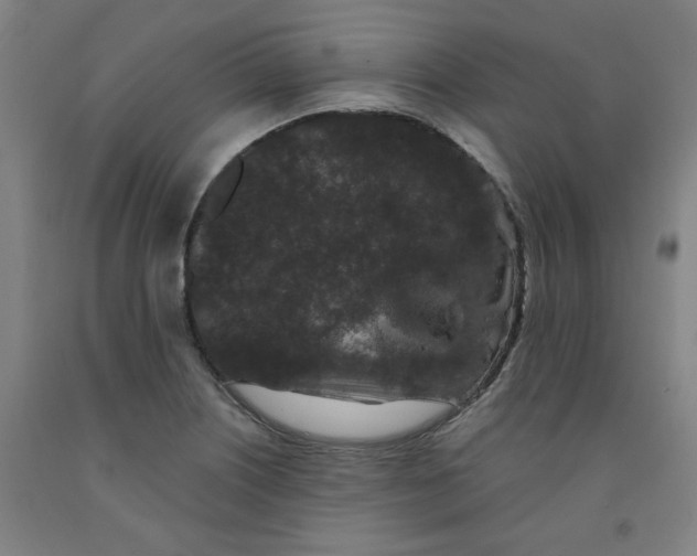 X0000091951226200709271319