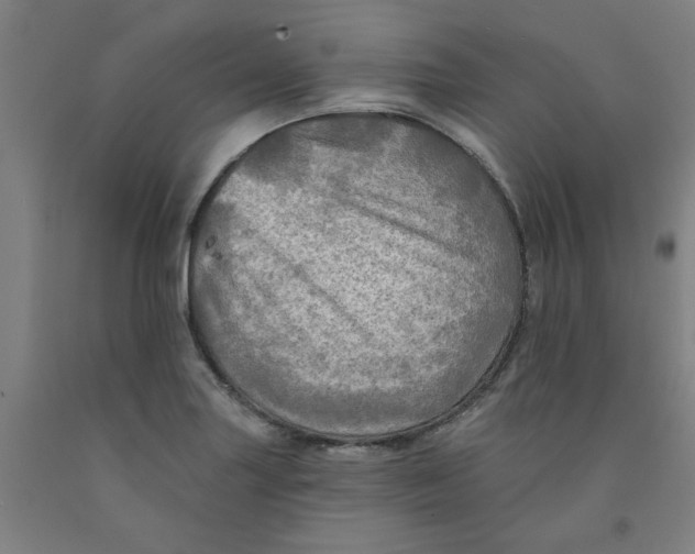 X0000091951227200709271319