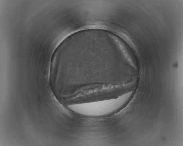 X0000091951228200709271319