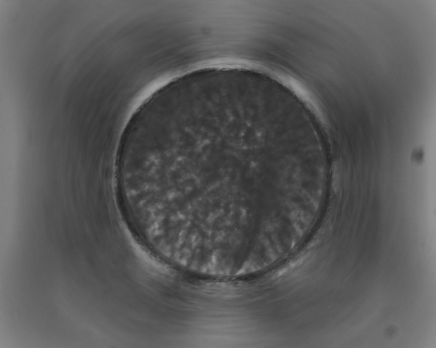 X0000091951229200709271319