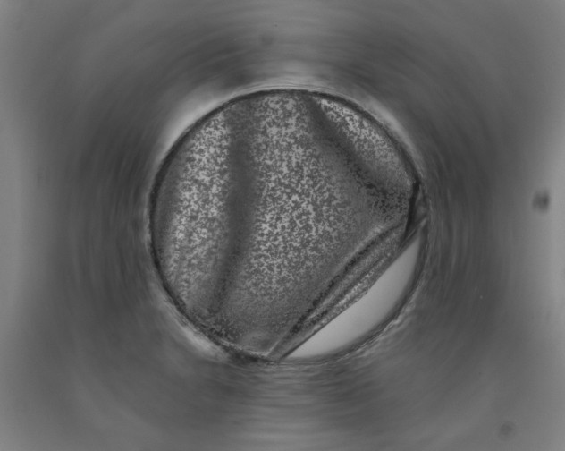 X0000091951230200709271319