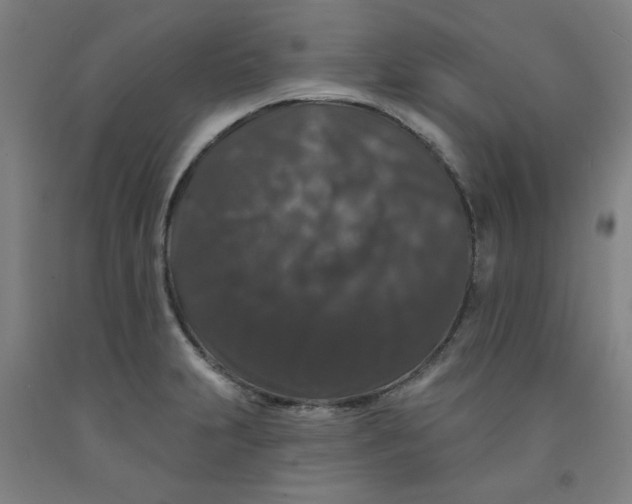 X0000091951231200709271319