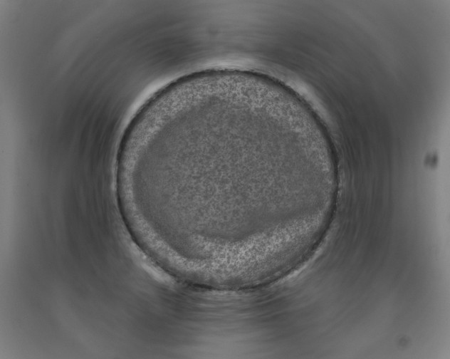 X0000091951232200709271319