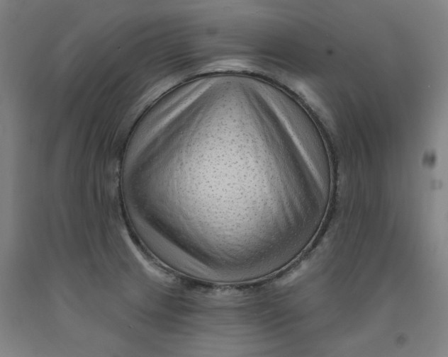 X0000091951233200709271319