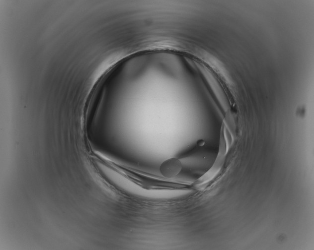 X0000091951234200709271319