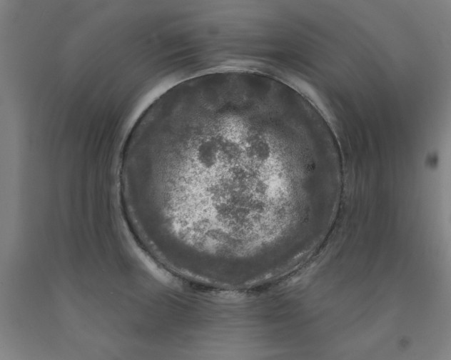 X0000091951235200709271319