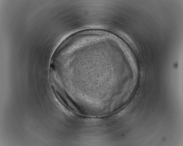 X0000091951236200709271319