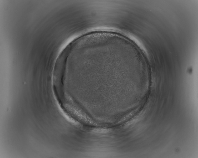 X0000091951237200709271319