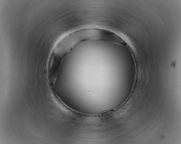 X0000091951238200709271319