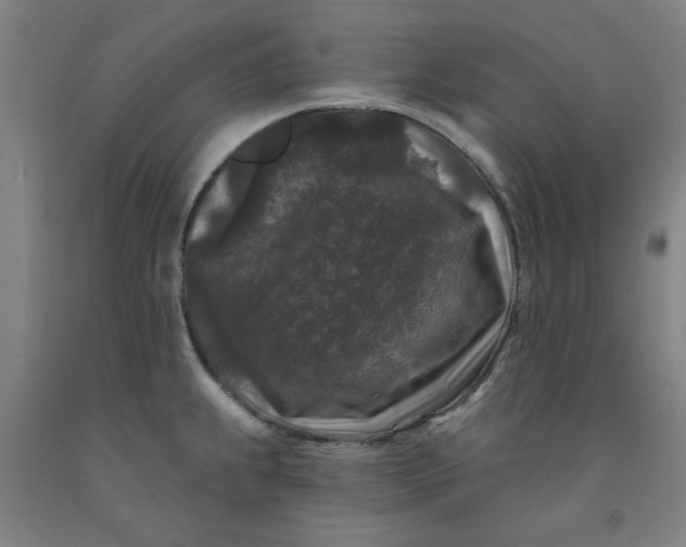 X0000091951239200709271319