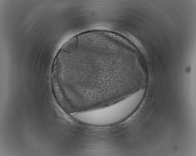 X0000091951240200709271319