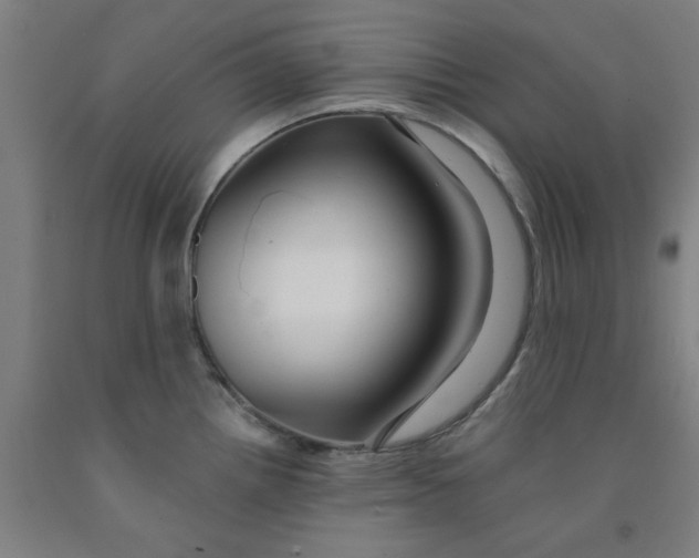 X0000091951242200709271319