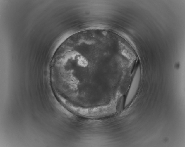 X0000091951243200709271319