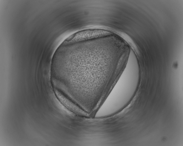 X0000091951244200709271319