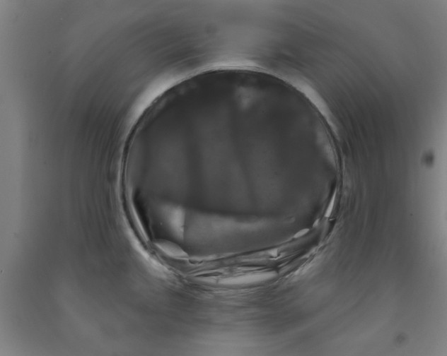 X0000091951245200709271320