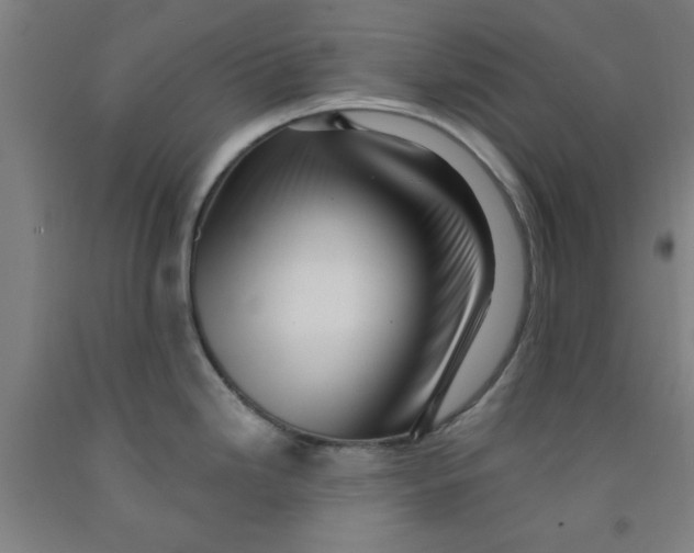 X0000091951246200709271320