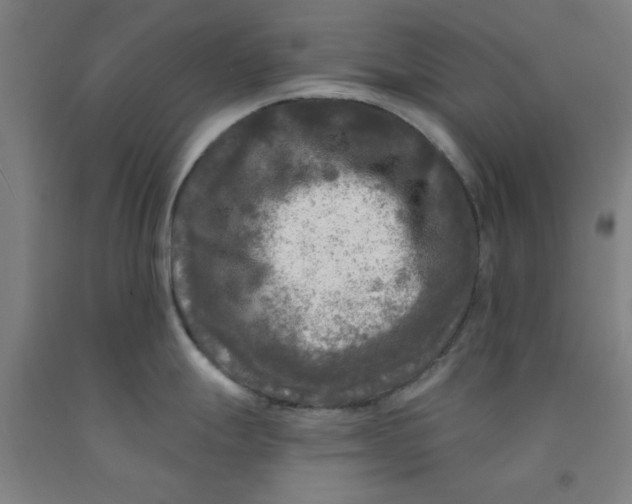 X0000091951247200709271320