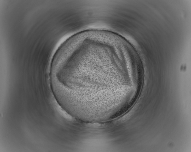 X0000091951248200709271320