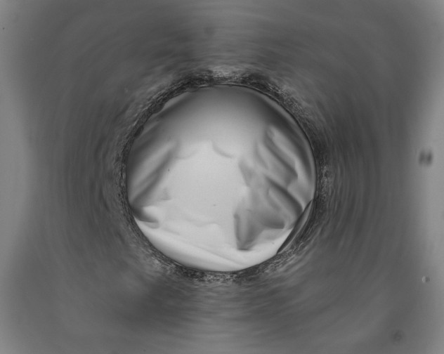 X0000091951249200709271319