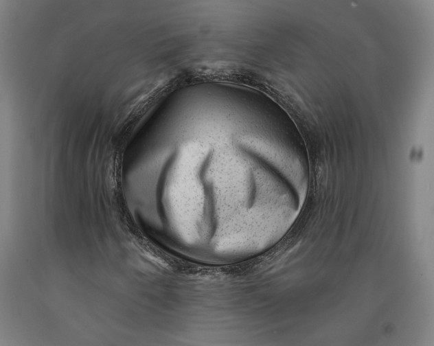 X0000091951250200709271319