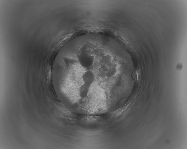 X0000091951251200709271319