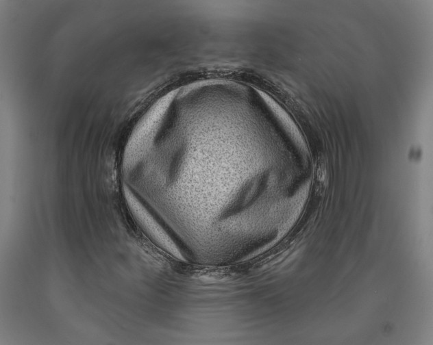 X0000091951252200709271319