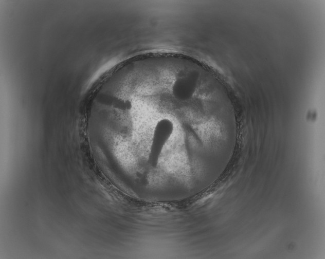 X0000091951255200709271319