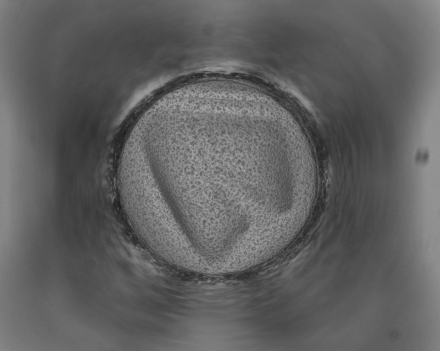 X0000091951256200709271319