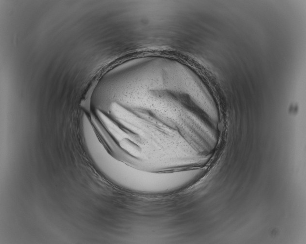 X0000091951257200709271319