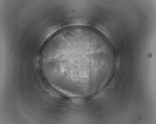 X0000091951258200709271319