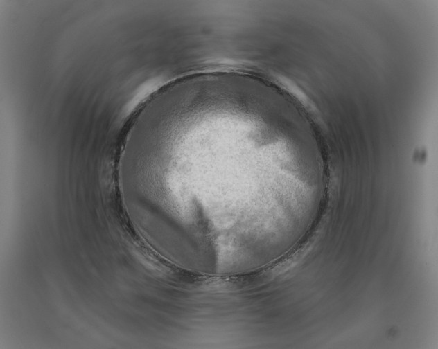 X0000091951259200709271319