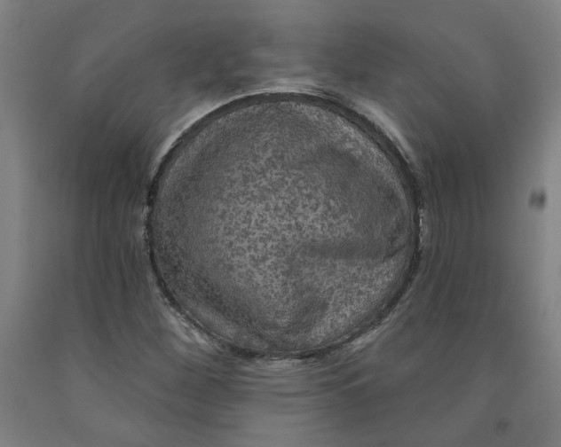 X0000091951260200709271319