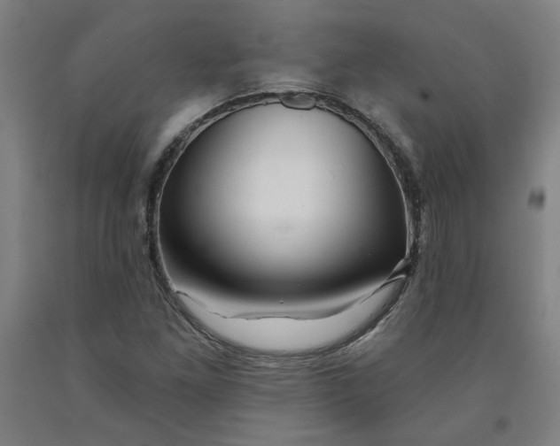 X0000091951261200709271319