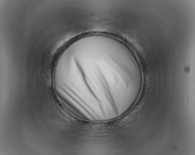 X0000091951262200709271319