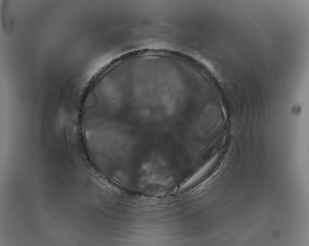 X0000091951263200709271319