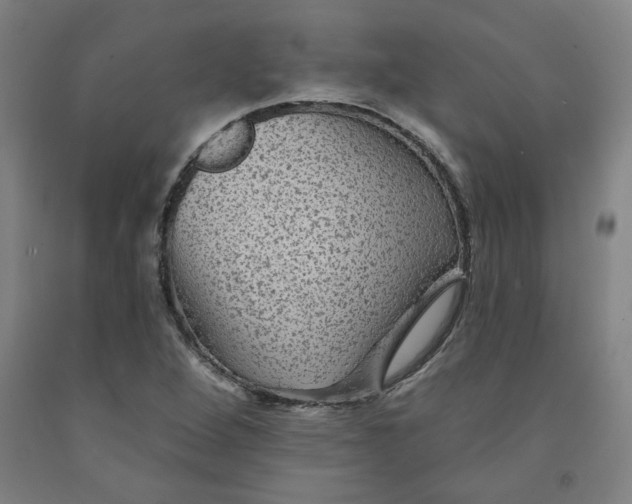 X0000091951264200709271319