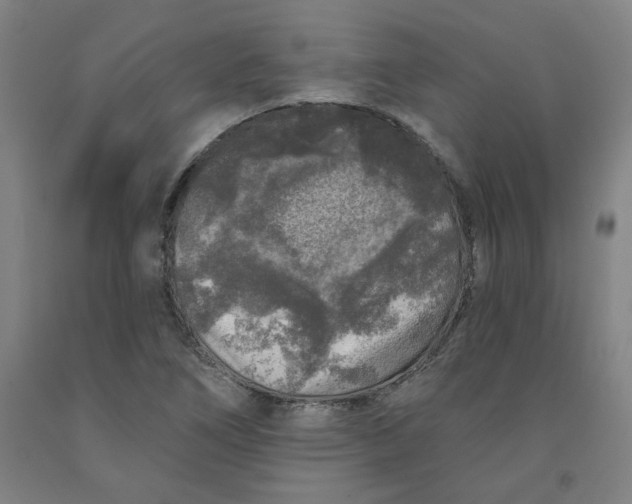 X0000091951266200709271319