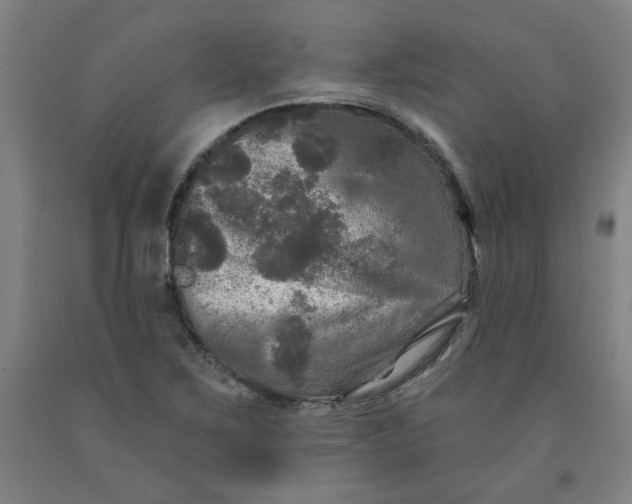 X0000091951267200709271319