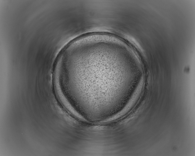 X0000091951268200709271319