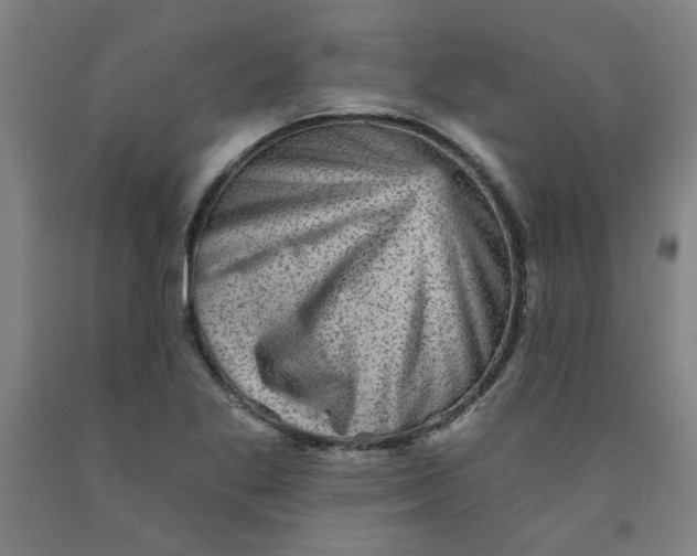 X0000091951269200709271319