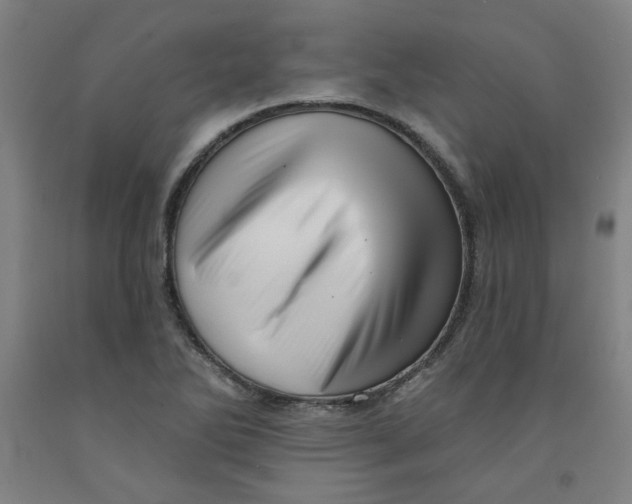 X0000091951270200709271319