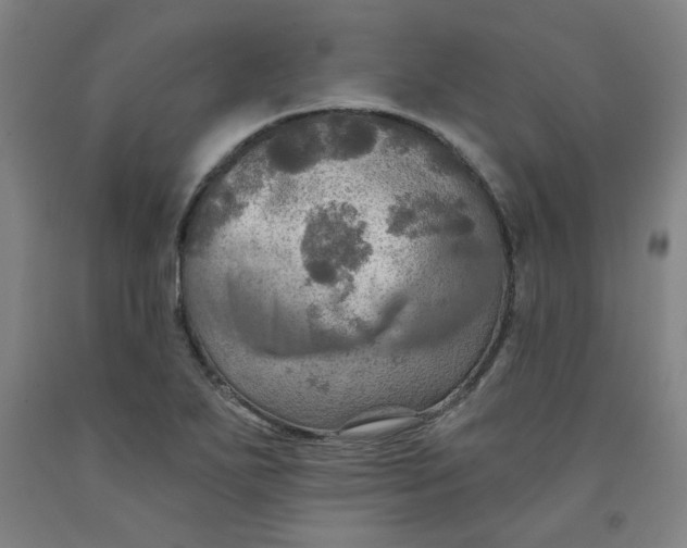 X0000091951271200709271318