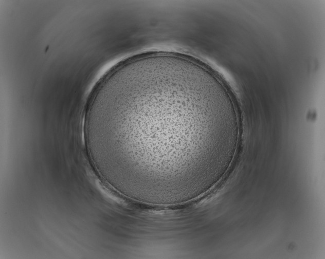 X0000091951272200709271318