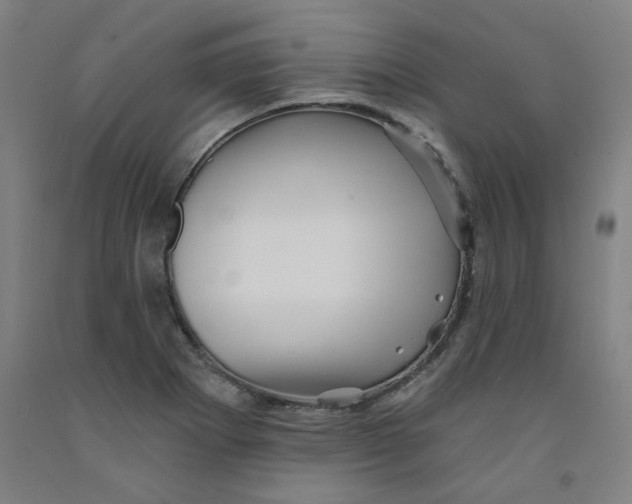 X0000091951273200709271318