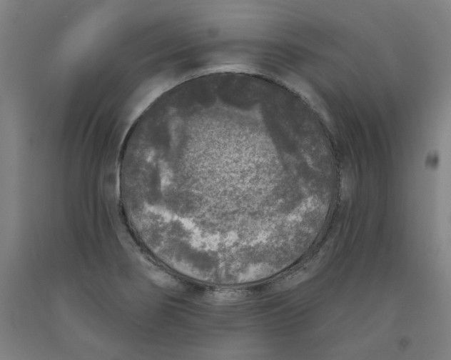 X0000091951274200709271318