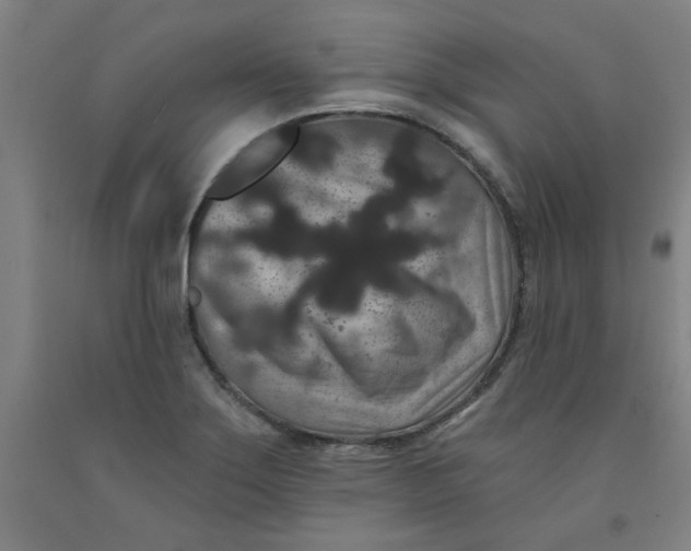 X0000091951275200709271318